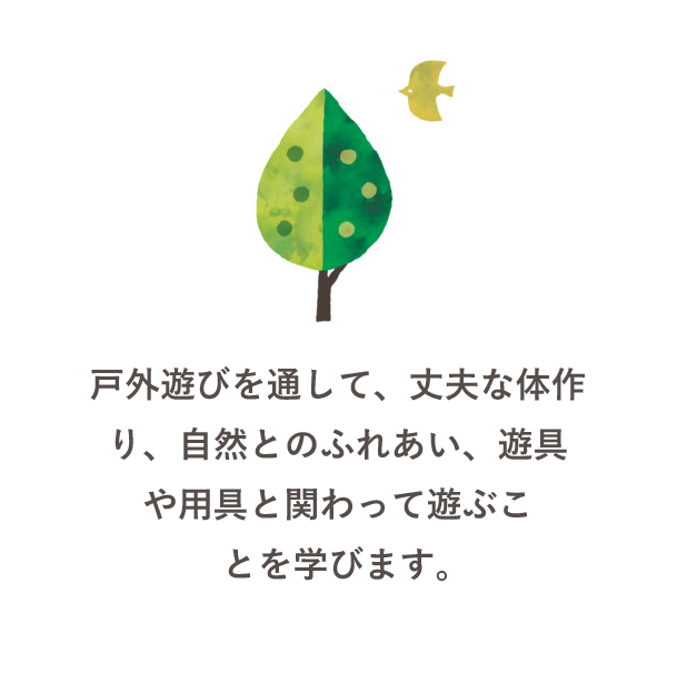戸外遊びを通して、丈夫な体作り、自然とのふれあい、遊具や用具と関わって遊ぶことを学びます。